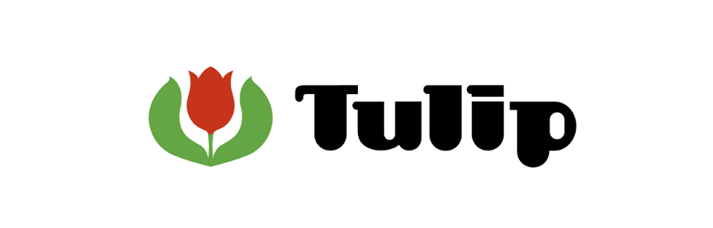Tulip