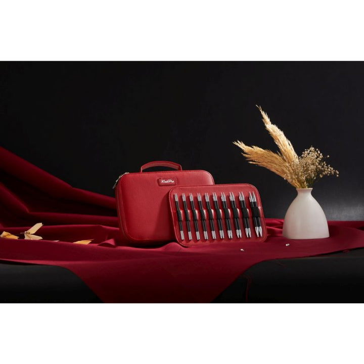 Nadelset Holiday Gift Karbonz Auswechselbare Nadelspitzen 60-100 cm 3 - 8 mm