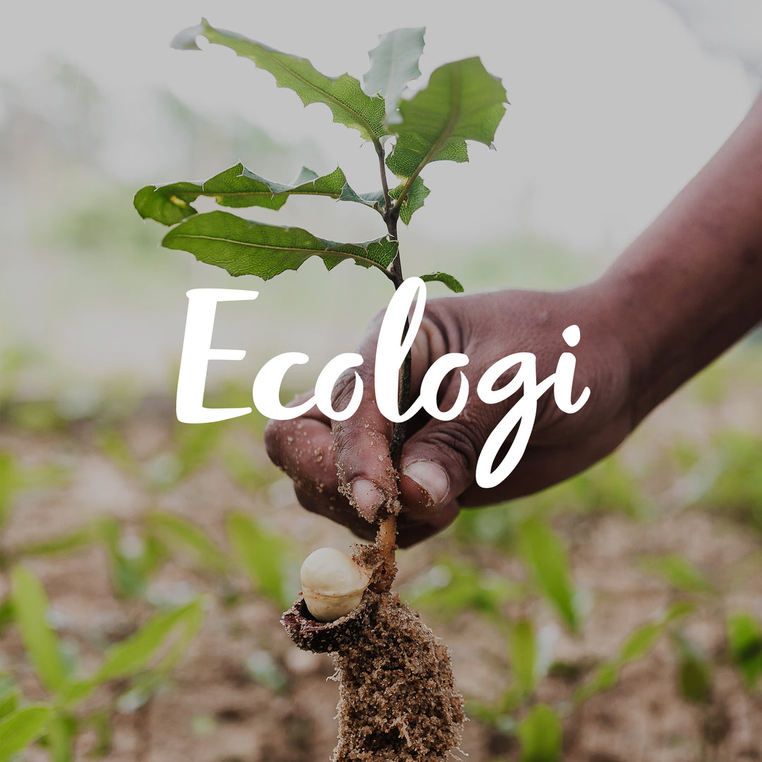 Ecologi