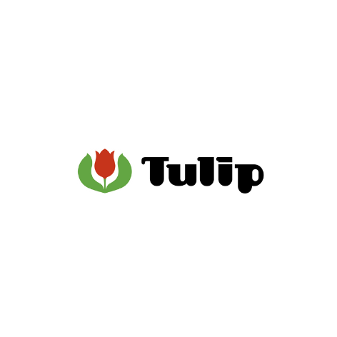 Tulip